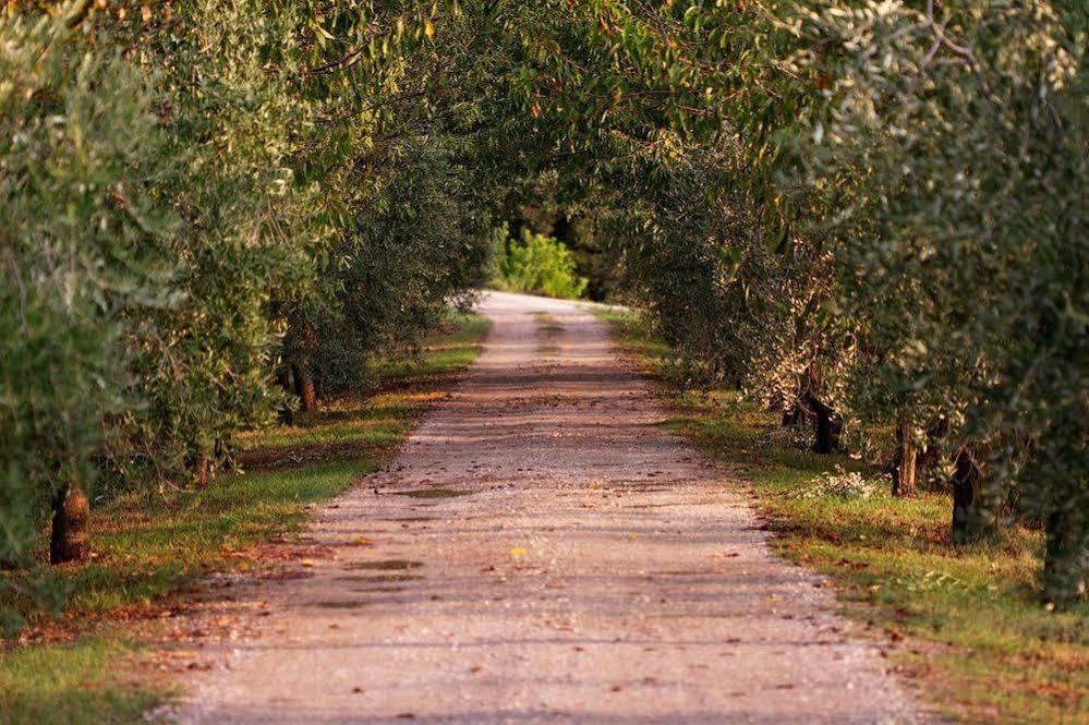 Agriturismo Casagrande Montepulciano Bagian luar foto
