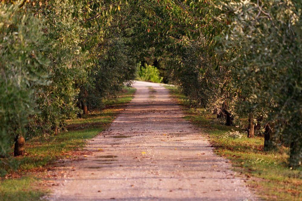 Agriturismo Casagrande Villa Montepulciano Bagian luar foto